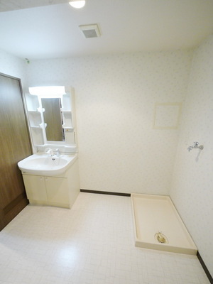 Washroom. Washroom