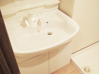 Washroom. Independent wash basin