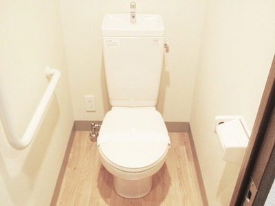 Toilet. Toilet