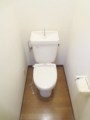 Toilet. Toilet