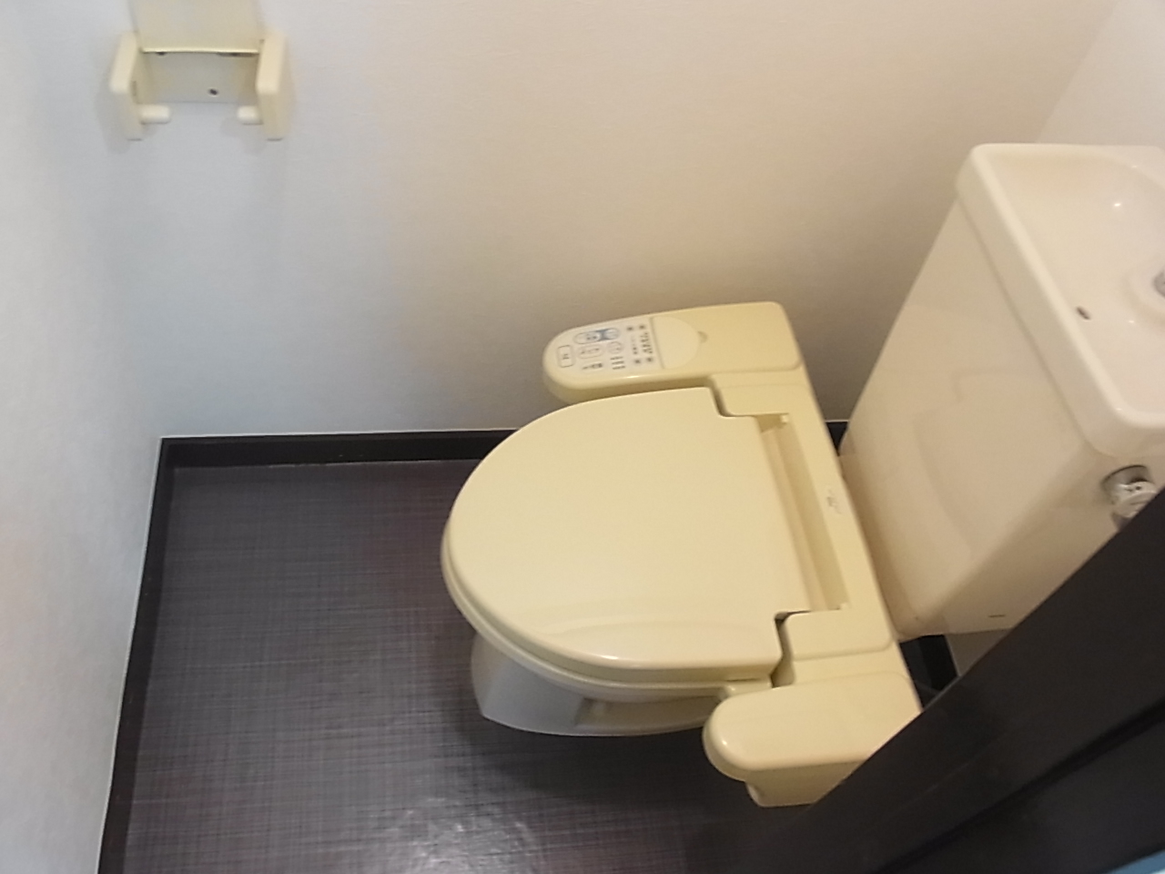 Toilet