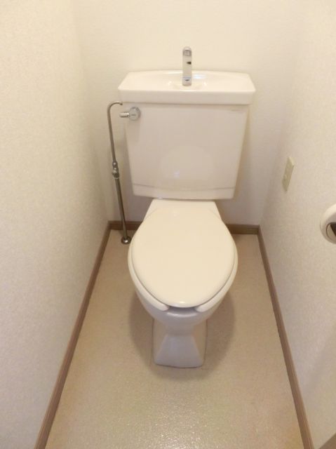 Toilet. 6.5 Pledge of Western-style