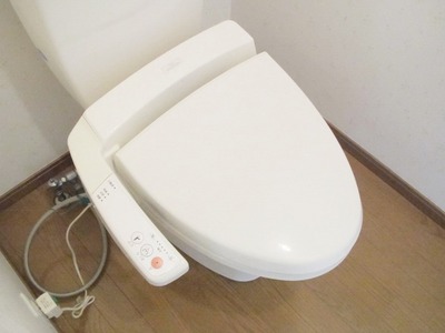 Toilet. Washing with toilet