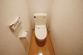 Toilet. Clean restroom