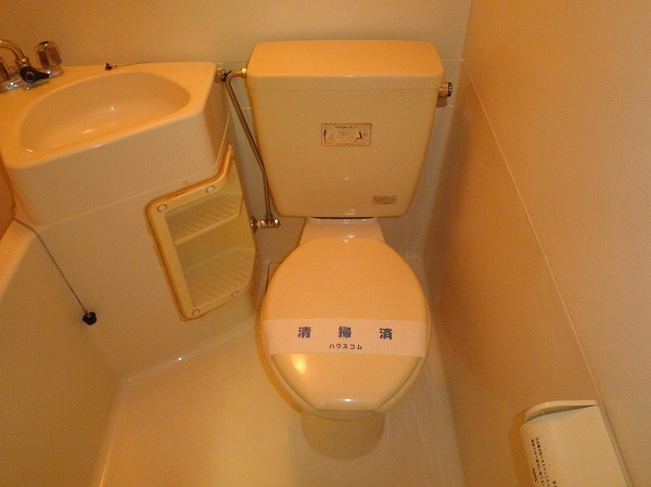 Toilet