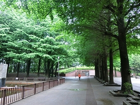 Other. 980m to Kodaira Central Park (Other)