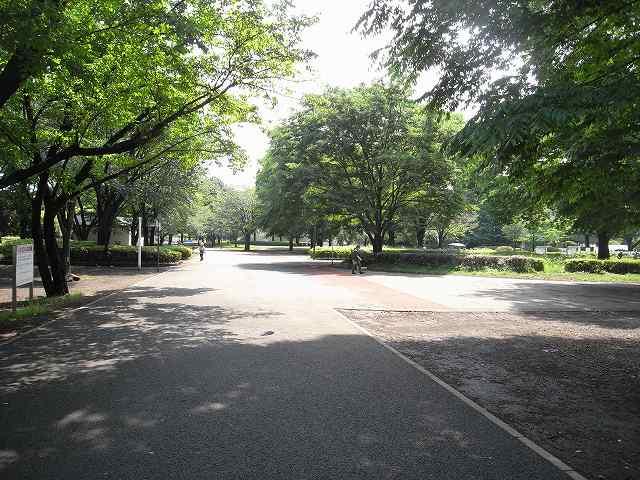 Other. Koganei park is also within walking distance