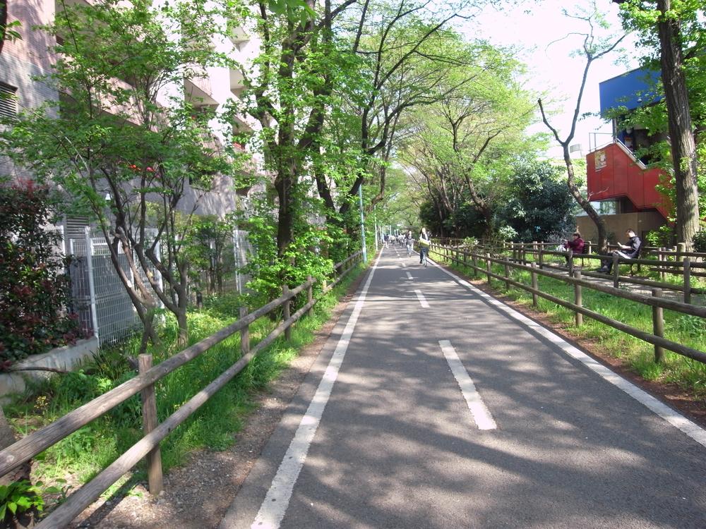Other. Hanakoganei Station Tamako bike path