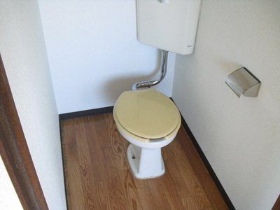 Toilet. Toilet