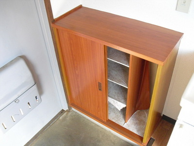 Entrance. Shoe box