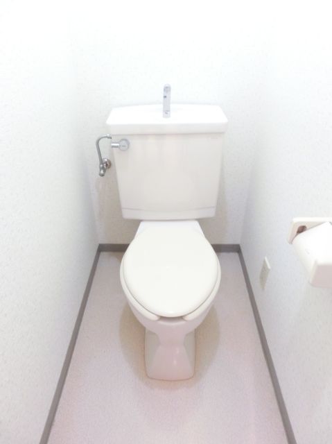 Toilet. It is a beautiful toilet