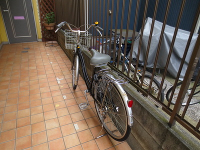 Parking lot. Place for storing bicycles