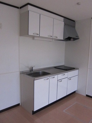 Kitchen. System kitchen