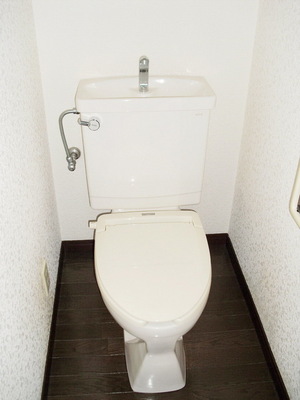 Toilet. Toilet