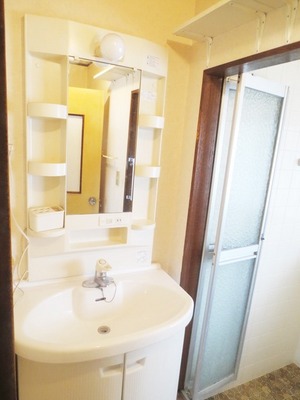 Washroom. Wash basin