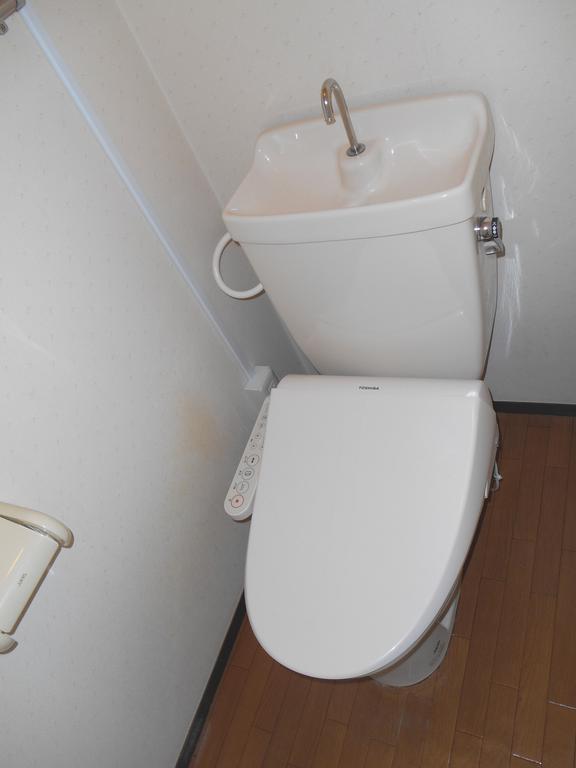 Toilet. Bidet