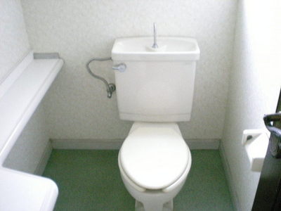 Toilet. Toilet