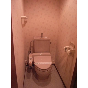 Toilet. The room is a picture of the same type.