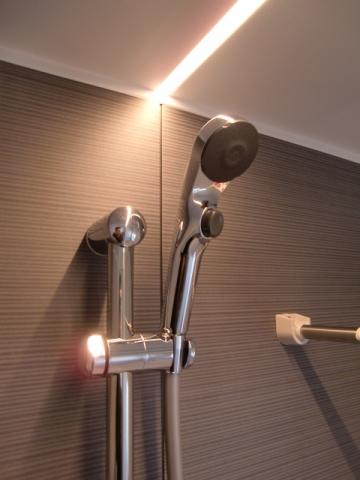 Bathroom. Slide the hook and stop feature with big nozzle. I lighting is fashionable. 
