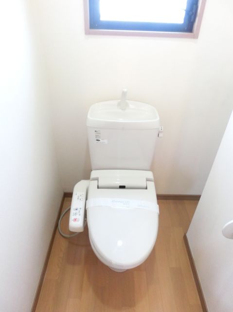 Toilet. It is a beautiful toilet