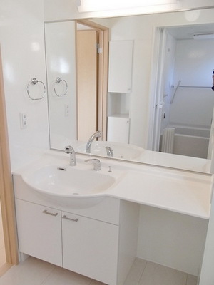 Washroom. Large mirror vanity with shower