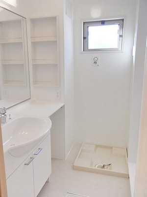 Other. Large mirror vanity with shower