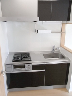 Kitchen. System kitchen (two-burner gas with grill)