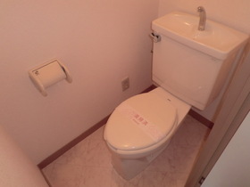 Toilet. Toilet