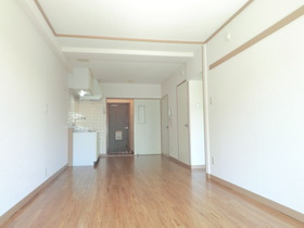 Living and room. South-facing sunny of LDK