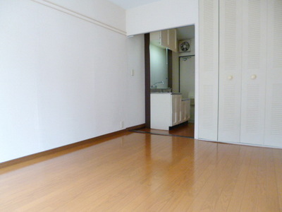 Other room space. Western style room