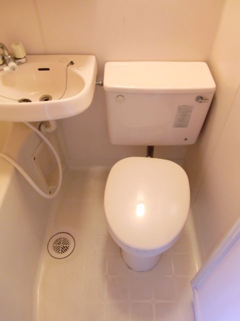 Toilet. Basin with a unit bus