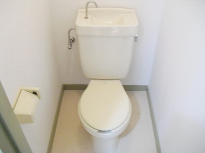 Toilet. Toilet