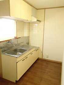 Kitchen. Two-burner gas stove installation Allowed Kitchen ☆