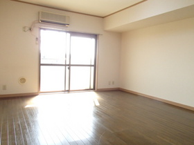 Living and room. Flooring bright rooms