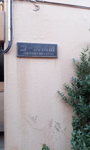 Entrance. Entrance