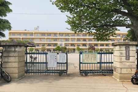 Primary school. Koganei Municipal third to elementary school 1142m