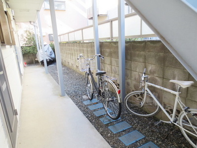 Parking lot. bicycle parking space