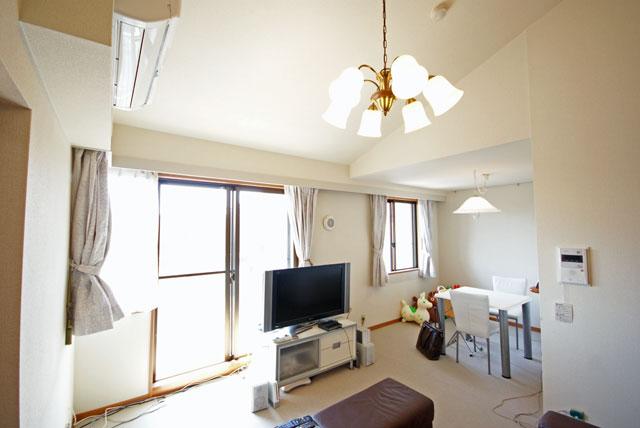 Living. Indoor (10 May 2013) Shooting