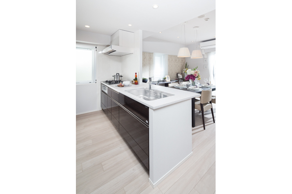 Other. The kitchen is open type with a counter. The open space has a window to the east side, Bright and comfortable space. Including the slide storage that can store plenty facilities, Large sink, etc., It has become a rich specification of