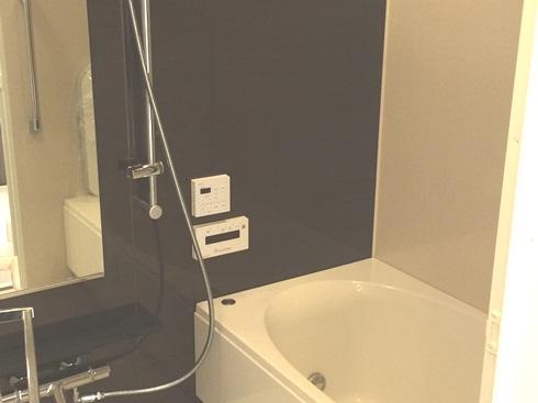 Bathroom. Indoor (12 May 2013) Shooting