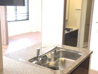 Kitchen. Indoor (12 May 2013) Shooting