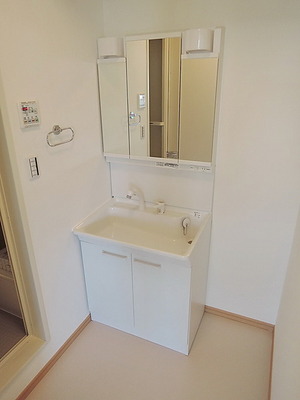 Washroom. Shampoo dresser washbasin