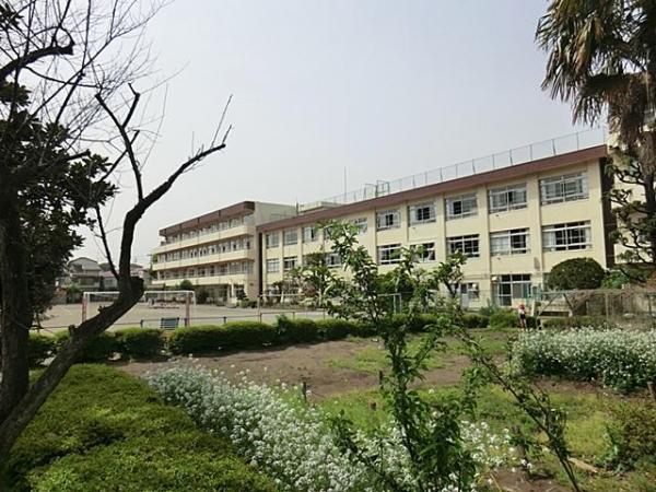 Primary school. Fourth 800m up to elementary school