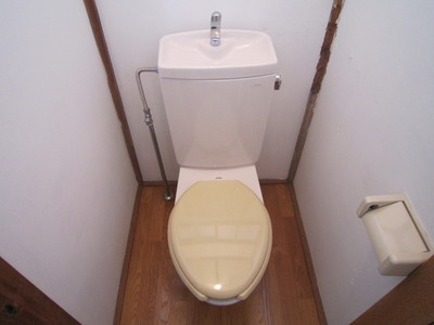 Toilet. Flush toilet ☆