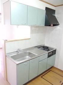 Kitchen. Widely and easy to use kitchen