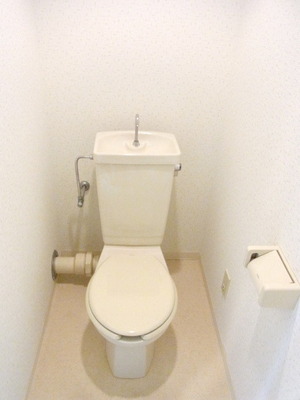 Toilet. Toilet