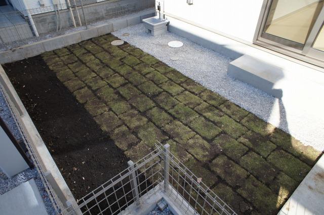 Garden. Lawn planted Nantei