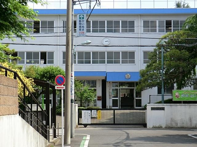 Junior high school. Koganei Tatsuhigashi until junior high school 1206m