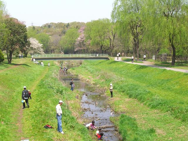 Other local. Nogawa Park