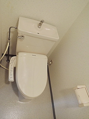 Toilet. Bidet function with toilet